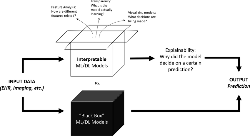 BlackBox AI